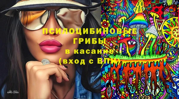 шишки Алексин