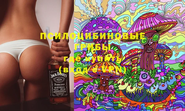 2c-b Абдулино