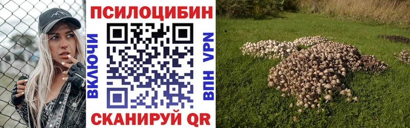 Галлюциногенные грибы Psilocybine cubensis  ссылка на мегу ссылка  Ряжск 